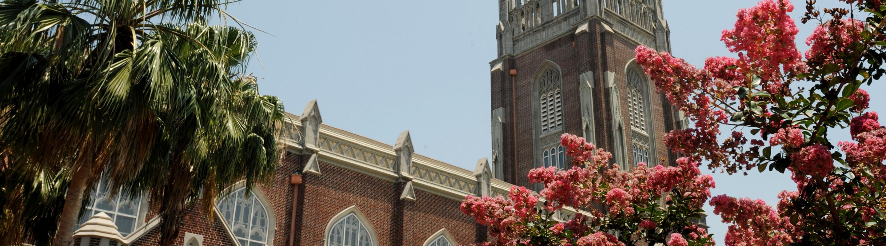 Holy Name of Jesus Church and Myrtle tree